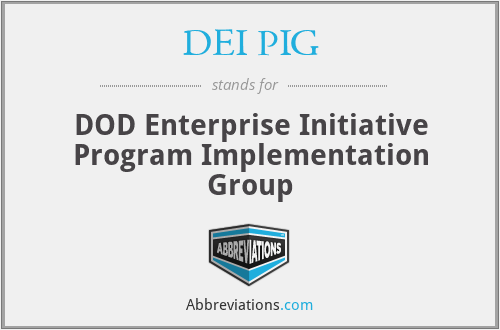 DEI PIG - DOD Enterprise Initiative Program Implementation Group